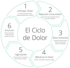 grafico del ciclo del dolor
