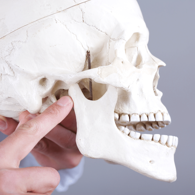 ¿Qué es la Articulación Temporomandibular?