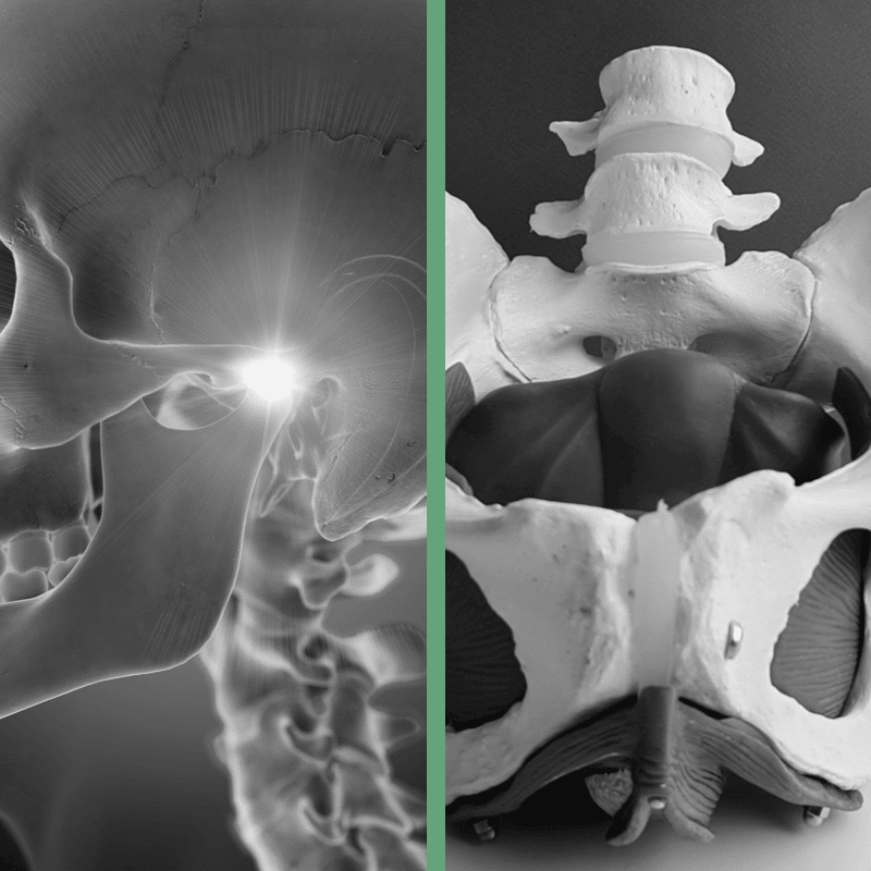 radiografia de cabeza y pelvis