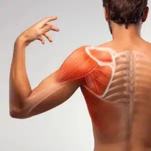 hombre con dibujo del musculo del hombro